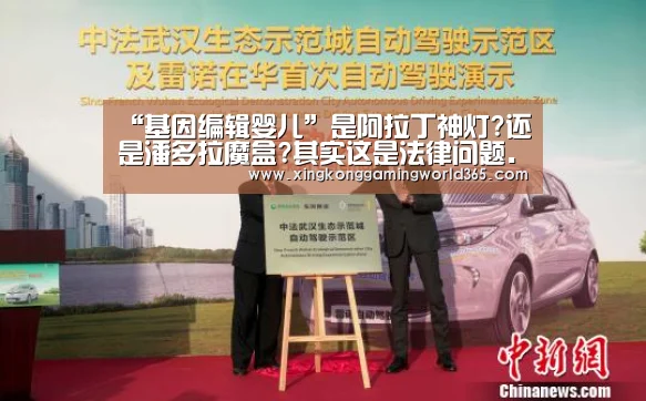 “基因编辑婴儿”是阿拉丁神灯?还是潘多拉魔盒?其实这是法律问题...|星空赛事(图1) 星空官网