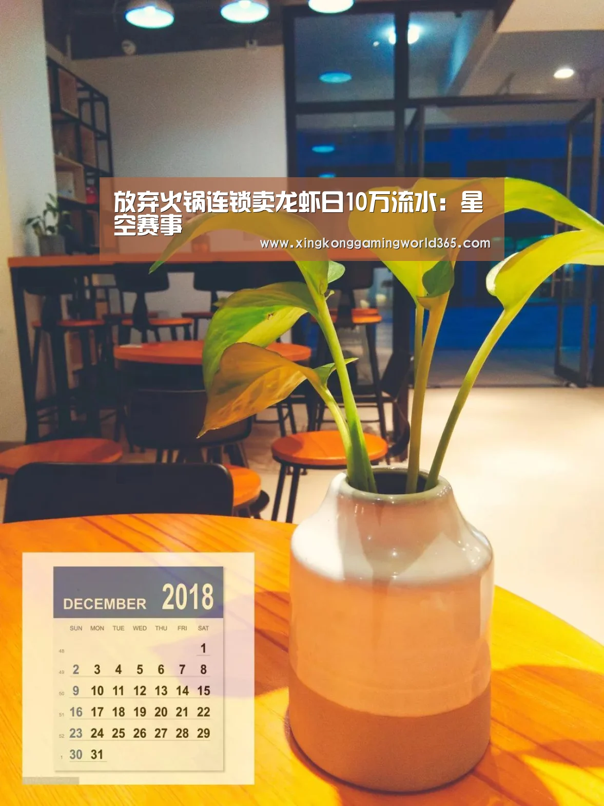 放弃火锅连锁卖龙虾日10万流水:星空赛事(图1) 星空竞猜