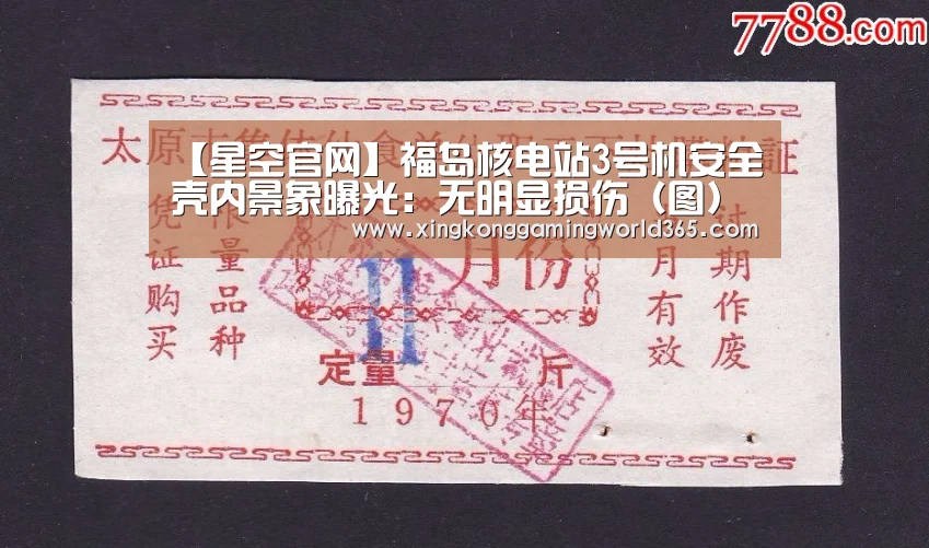 【星空官网】福岛核电站3号机安全壳内景象曝光:无明显损伤(图)(图3) 星空竞猜
