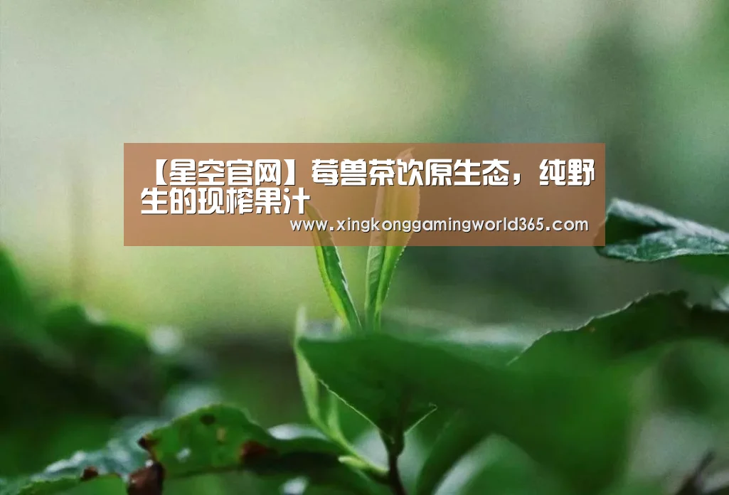 【星空官网】莓兽茶饮原生态,纯野生的现榨果汁(图1) 星空赛事